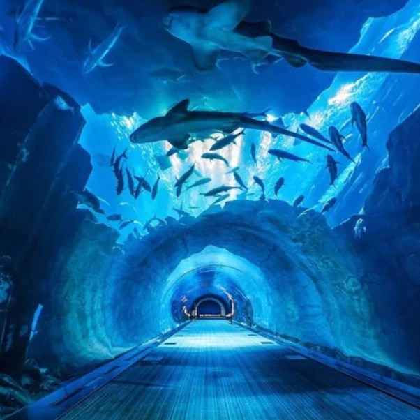 Dubai Mall Aquarium