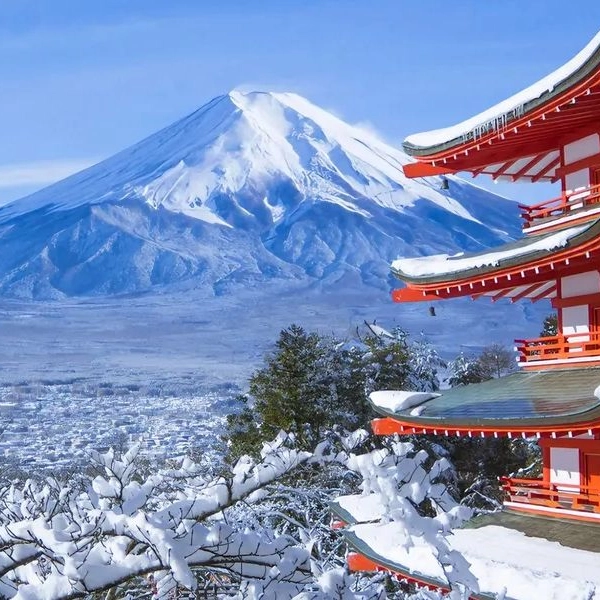 Mount Fuji Panoramic Day Trip
