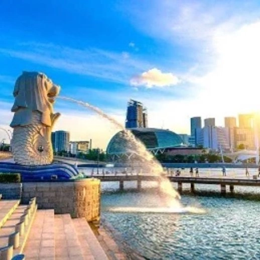 City Tour + Apt Transfer