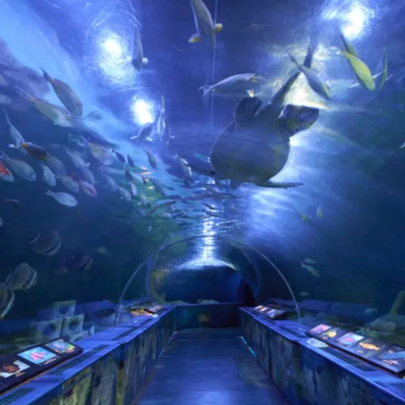 Shinagawa Aquarium