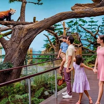 Night Safari with transfer