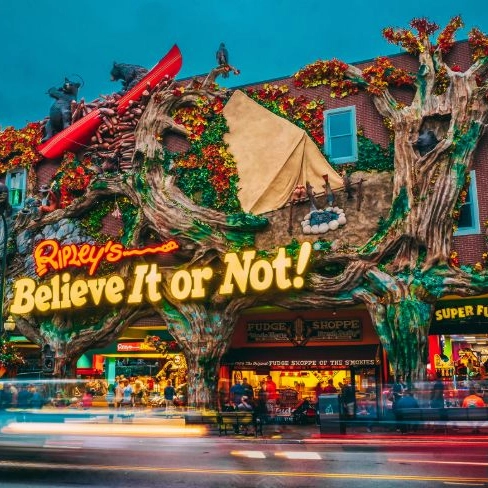 Ripleys Believe It or Not - 3