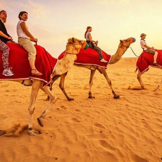 Premium Desert Saf ...